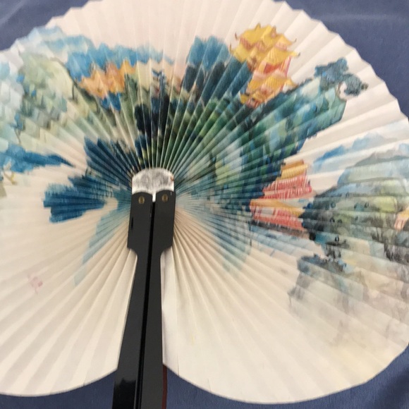 Beautiful Fan! - Picture 2 of 5